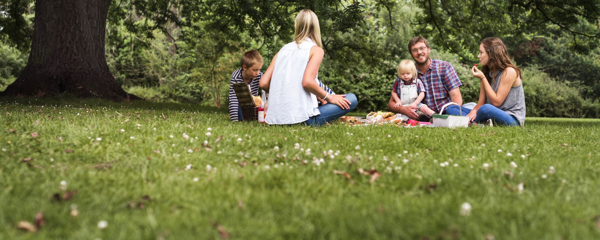 Family sat under a tree in a daisy filled field
